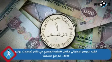قفزة الدرهم الإماراتي مقابل الجنيه المصري في ختام تعاملات يوليو 2025.. كم بلغ السعر؟